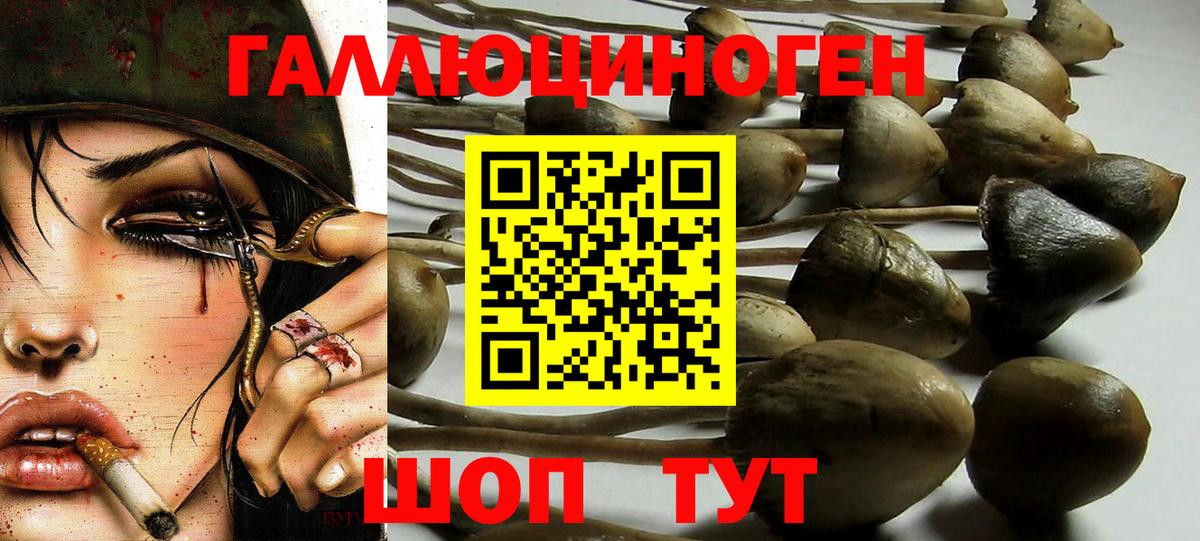 Галлюциногенные грибы мухоморы Кузнецк