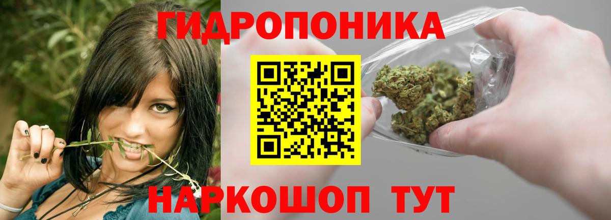 Конопля VHQ  Марихуана Ganja  Конопля конопля  Кузнецк  Вход с VPN 